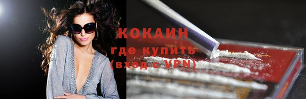 дмт Богородск