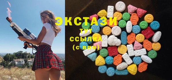 хмурый Тында