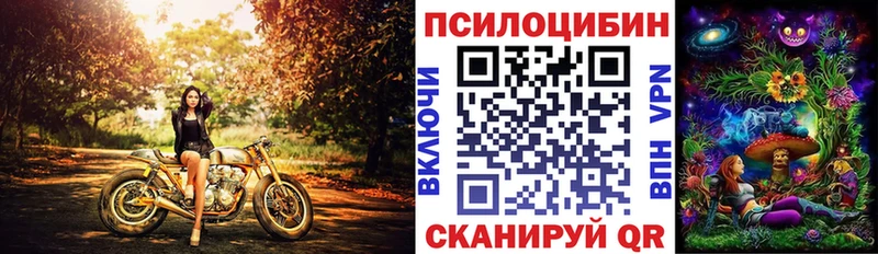 Псилоцибиновые грибы MAGIC MUSHROOMS Пятигорск