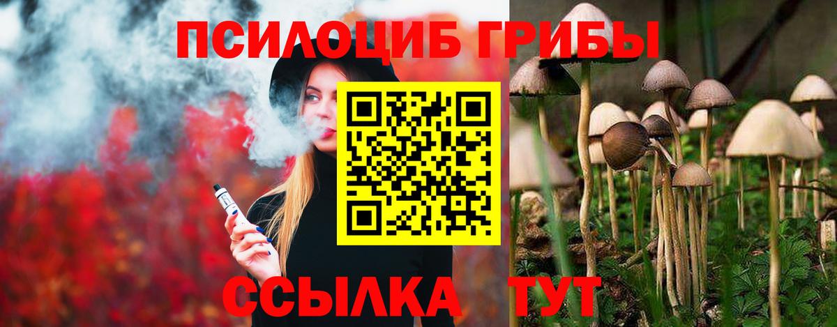 Пятигорск  Псилоцибиновые грибы Cubensis  Вход с VPN 